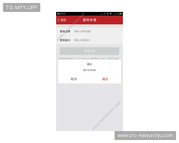 开云手机站官网的支付方式与订单处理流程介绍