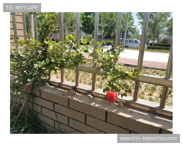 开云综合登录最新版本更新内容详解，掌握最新功能和安全措施